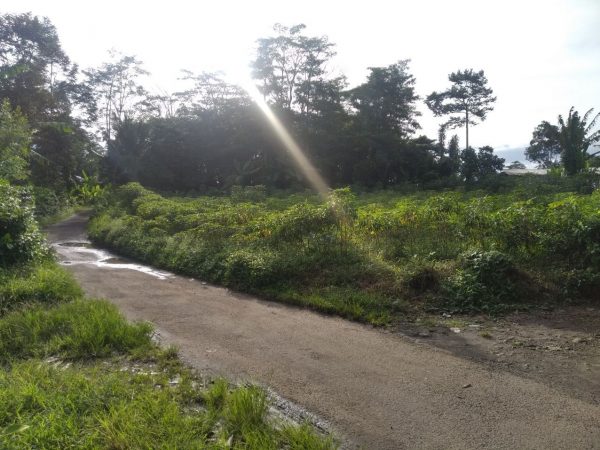 DIJUAL TANAH MURAH LUAS 1.148 M2  DEKAT JALAN RAYA SERANG PETIR DIJUAL TANAH MURAH LUAS 1.148 M2  DEKAT JALAN RAYA SERANG PETIR